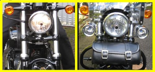 Picture 3: Harley, comparison of the front view