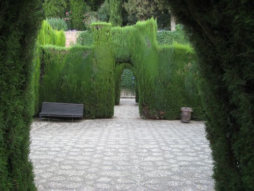 Foto 10f: Alhambra / Setos verdes 1
