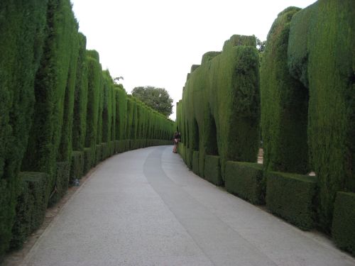 Picture 10g: Alhambra / Green hedges 2