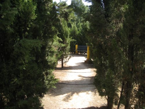 Foto 2a: Caminos secundarios de silencio en el parque de Marinaleda