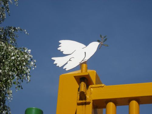 Bild 8: Eine Friedenstaube in Marinaleda