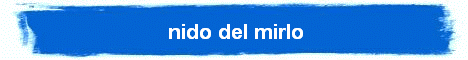 nido del mirlo