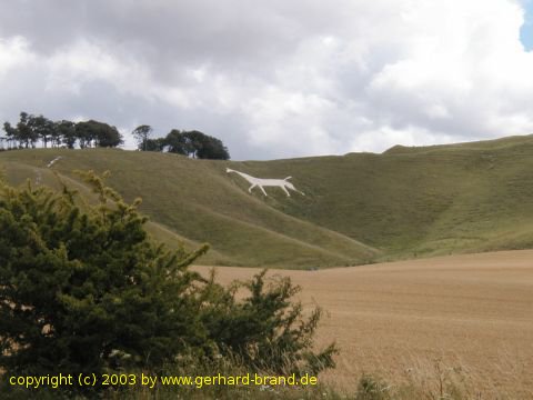 Foto: Der Hügel "White Horse Of Cherhill"