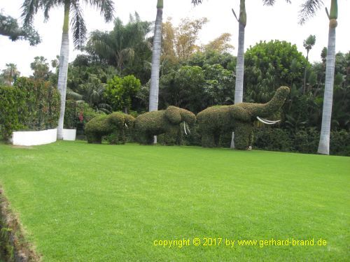 Foto 2: El Loro Parque en Puerto de la Cruz (Tenerife) un parque muy bien mantenido