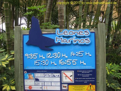 Foto 18: Leones Marinos Show en el Loro Parque en Puerto de la Cruz (Tenerife)
