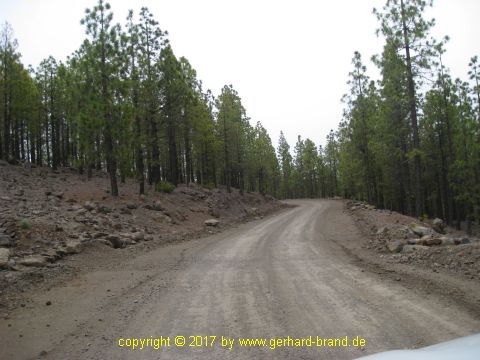 Foto 4: Pista forestal hacia el Paisaje Lunar