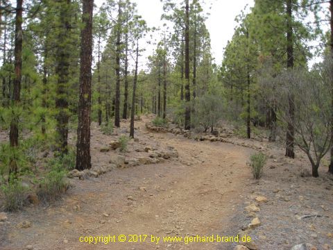 Bild 8: Wanderweg zur Mondlandschaft (Paisaje Lunar)