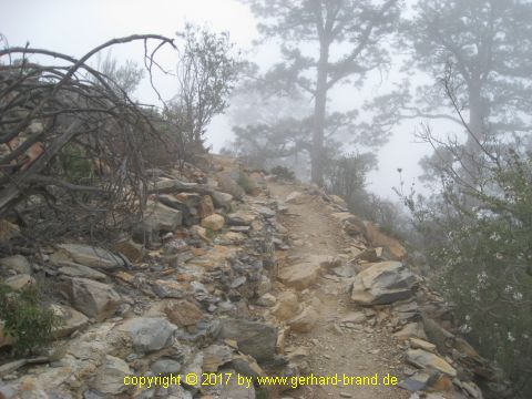 Picture 12: Narrow footpath to the Moonscape (Paisaje Lunar)