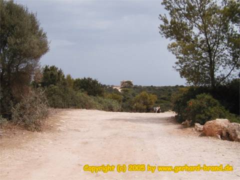 Picture 1: Punta de Amer / Horsemen from afar